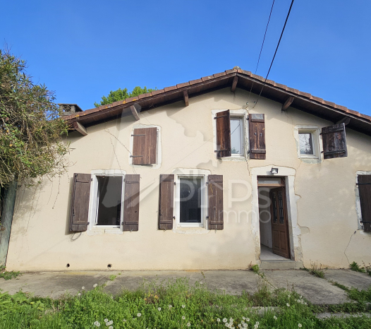 papsimmo-180-686e5eaa4a529.jpg
