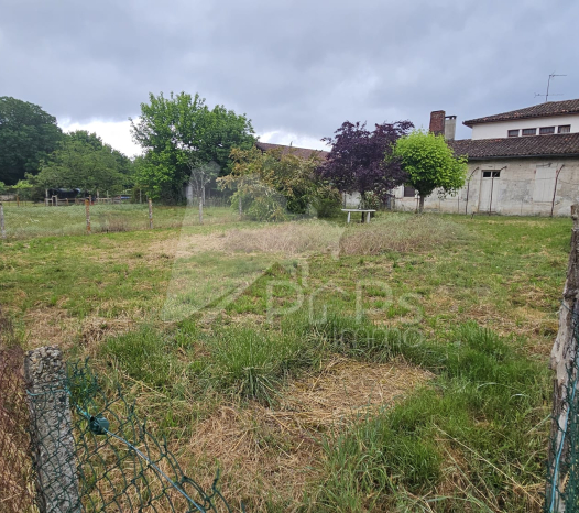 papsimmo-230-6a15c23e444d6.jpg
