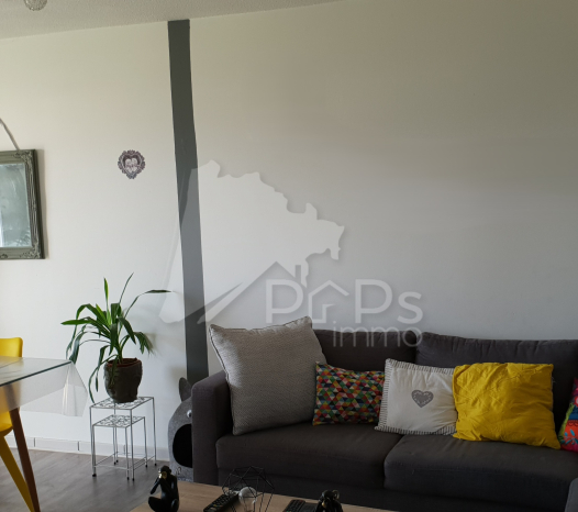 papsimmo-151-6a79c98d5442d.jpg