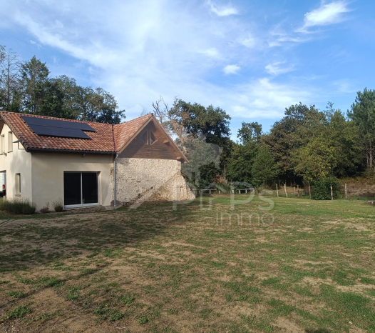 papsimmo-253-6ac60f24ead51.jpg